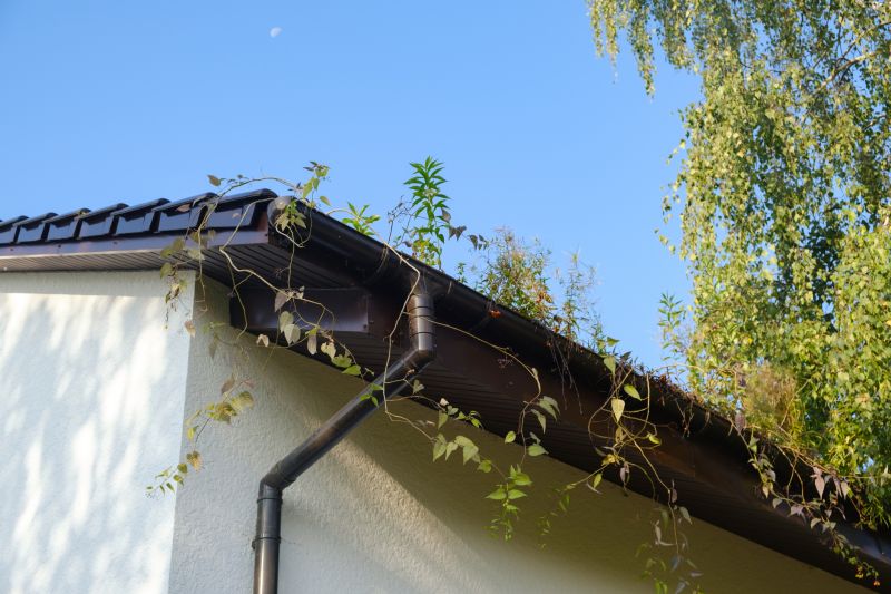 Metal Gutter Installation
